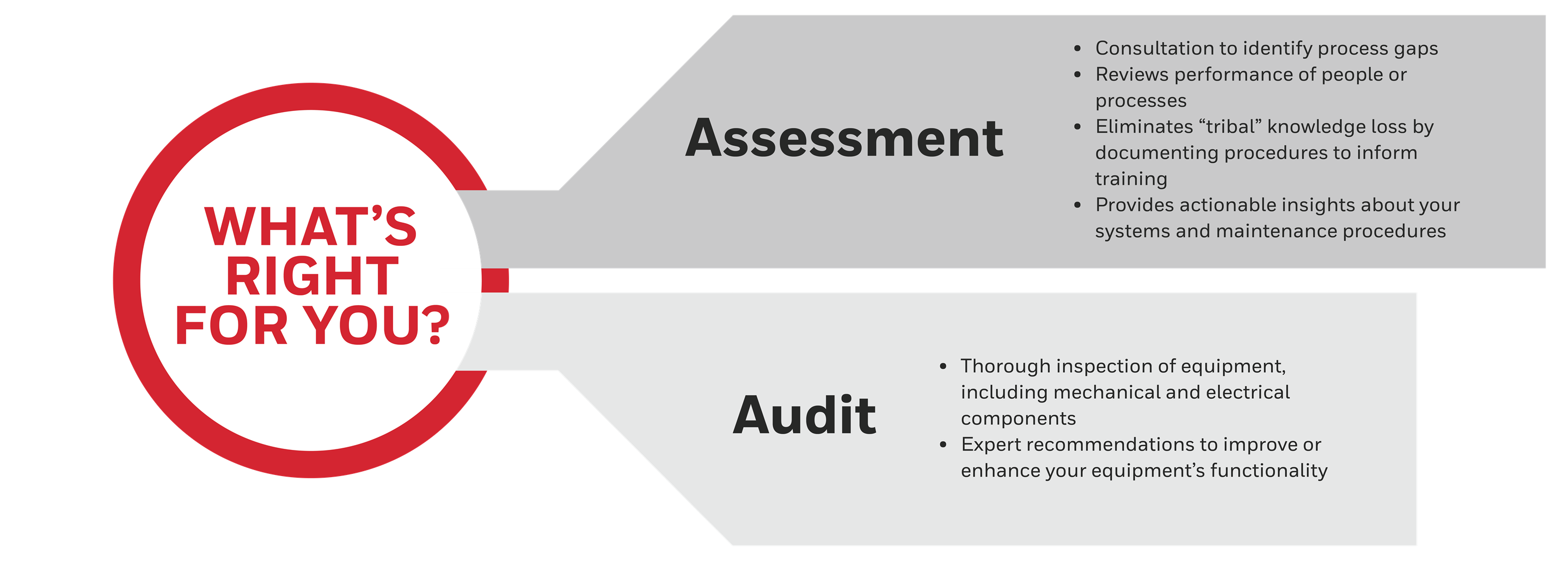 Diagram depicting the main features for audits and assessments.