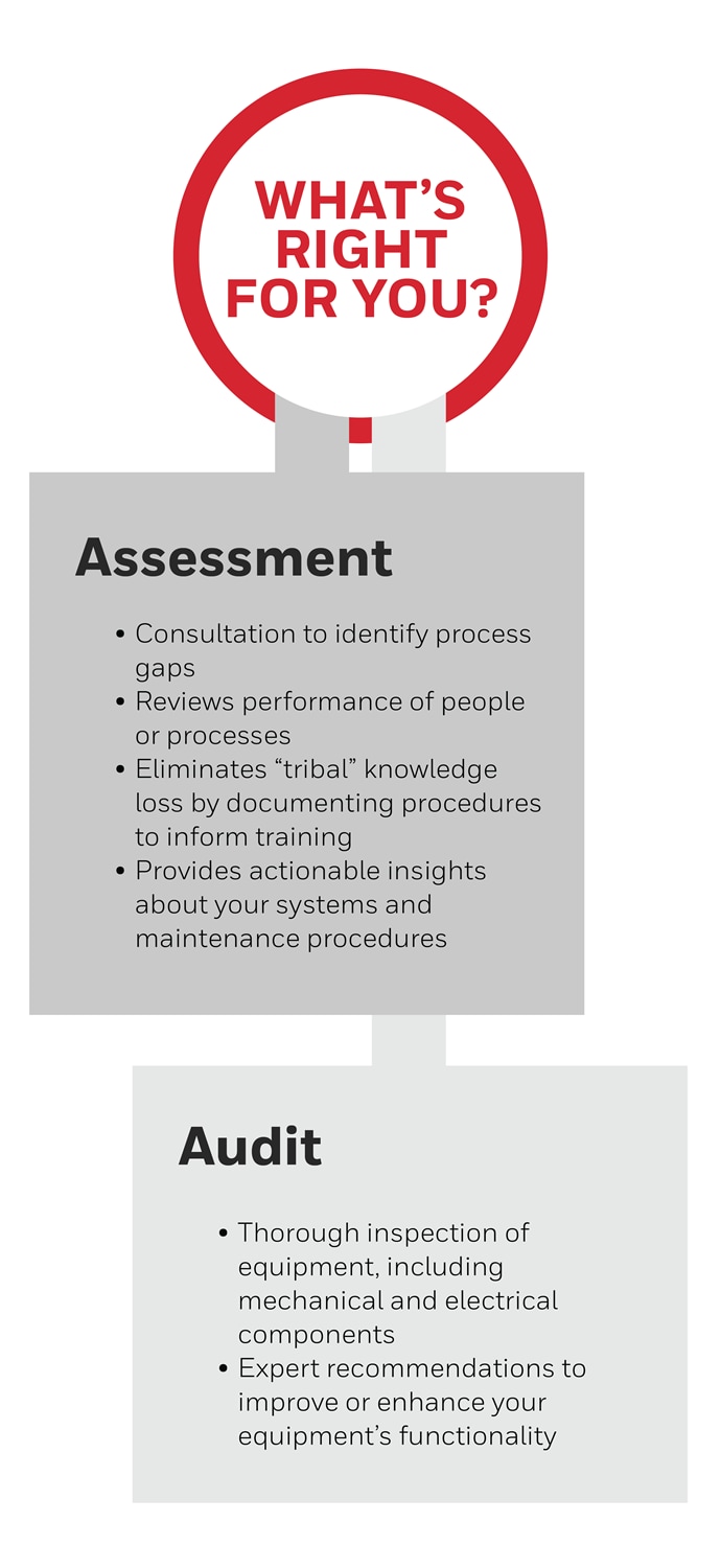 Diagram depicting the main features for audits and assessments.