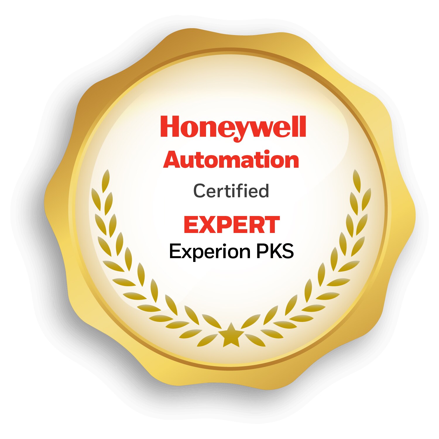 Badges_External engineers_Final_2024_Updated